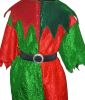 Kids Costumes to Hire - ELF Dress 